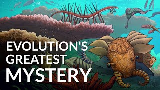 What Caused The Cambrian Explosion [upl. by Pang]