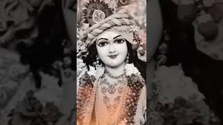 Barsane wali radhaVrindavan short videokrishana statusytshorts sub viralvideo radheshyamsho [upl. by Caswell]