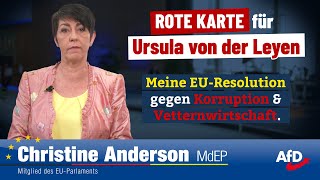 ROTE KARTE für Ursula von der Leyen  Meine EUResolution gegen Korruption amp Vetternwirtschaft [upl. by Oemac133]