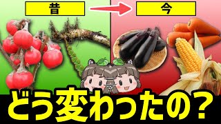 【野生種】今と昔で見た目が違いすぎる野菜・果物8選 [upl. by Clarette]