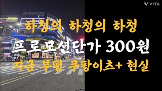 하청의 하청의 하청  쿠팡이츠 플러스 단가 현실 [upl. by Susanna]