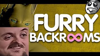 Forsen Plays FURRY BACKROOMS with Streamsnipers [upl. by Lorrimor794]