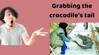 Grabbing the crocodiles tail [upl. by Ecniv993]