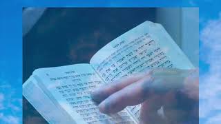 Yom Kippur Prayer MAKE IT MEANINGFUL Vidduy TURN ON CAPTIONS [upl. by Plossl652]