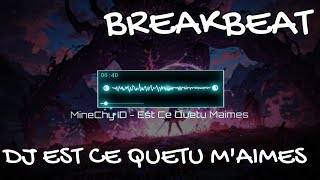 MineChyID  EST CE QUETU MAIMES BREAKBEAT MIXTAPE V2 [upl. by Timotheus350]