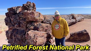 Petrified Forest National Park [upl. by Matusow163]