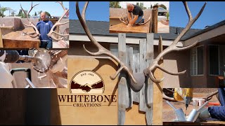 HOW TO MOUNT SHED ANTLERS DIY [upl. by Brittne986]