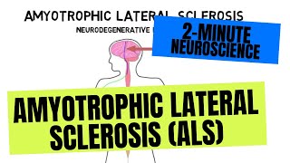 2Minute Neuroscience Amyotrophic Lateral Sclerosis ALS [upl. by Selinski]