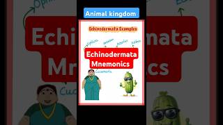 Mnemonics Echinodermata biology neet2025 neet25 neetexam neetpreparation [upl. by Chrisse549]