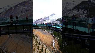 Walk on air at Columbia Icefield Skywalk Thrilling heights breathtaking views  Dare to look down [upl. by Yerag]