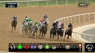 Dubai Kahayla Classic – Tilal Al Khalediah– Dubai World Cup 2024 [upl. by Kadner]