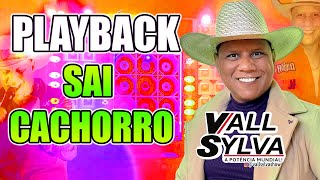 PLAYBACK  SAI CACHORRO  VALL SYLVA [upl. by Medora]