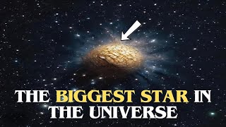 The Biggest Star In The Universe  Size Comparison [upl. by Tahp]