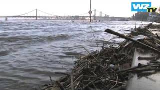 Uerdingen erwartet das Rheinhochwasser [upl. by Urana17]