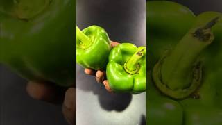 இதுல இப்படி ஒரு ரகசியமா  🔥 Selecting Capsicum Like a Pro capsicum bellpeppers cooking [upl. by Josi]