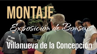 Montando la Exposicion de Bonsais de Villanueva de la Concepción 2024 [upl. by Kayla]