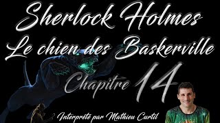 Le chien des Baskerville 🎧 Chapitre 14 🎧 Sherlock Holmes  Livre audio [upl. by Ahsar]