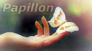 Papillon [upl. by Idzik235]