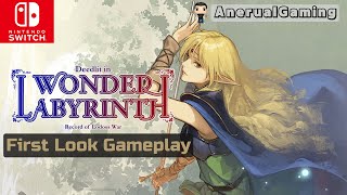 Nintendo Switch  Record of Lodoss WarDeedlit in Wonder Labyrinth  Gameplay NO COMMENTARY [upl. by Deaner]