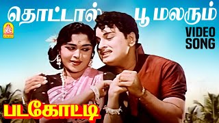 Thottal Poo Malarum  HD Video Song  தொட்டால் பூ மலரும்  Padagotti  MGR  Saroja Devi [upl. by Ariaj]