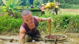 Dwarf Family Primitive Life Catch eels Finding Treasure Harvesting Chicken Eggs amp Bananas [upl. by Stichter]