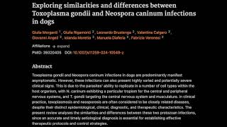 Similarities and differences between Toxoplasma gondii and Neospora caninum infections in dogs [upl. by Milks]