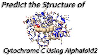 Using Alphafold2 with Chimera X to Predict the Structure of Cytochrome C [upl. by Annaet]