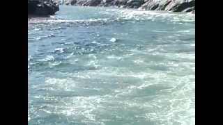 Gomukh Se Ganga Sagar Documentary Film [upl. by Cirted]