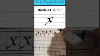 calligraphy  how to write italic ‘X’ using broadnibpen calligraphytutorial handwriting italic [upl. by Cirdor846]