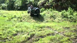 willys jeep philippines bohol [upl. by Willa726]