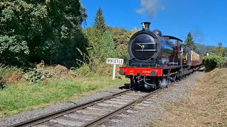 Lineside at New Bridge NYMR [upl. by Anaile745]