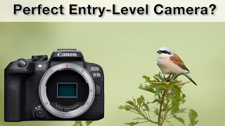 Canon R10 Review  The perfect entrylevel camera [upl. by Piwowar915]