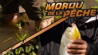 La pêche aux piranhas piedsnus dans leau [upl. by Nerland]