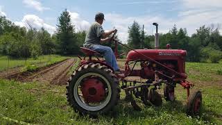 Hilling potatoes with the Farmall Cub [upl. by Aehsel]