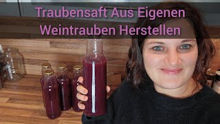 Traubensaft Aus Eigenen Weintrauben Herstellen [upl. by Ynafetse88]