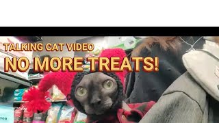 TALKING CAT VIDEO  NO MORE TREATS [upl. by Antrim]