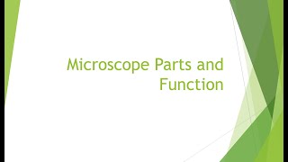 Grade 10 Microscope Parts and Function [upl. by Neumann]