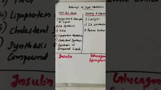 Major Metabolic Pathways of Lipid Metabolism in Well Fed State and in Fasting and Starvation😷👩‍⚕️🧪🧫🔬 [upl. by Audras]