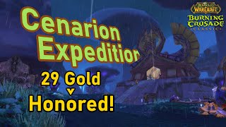 Honored with Cenarion Expedition for only even 1 gold AH prices gone mad [upl. by Ches126]