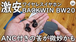 BACKWIN BW20 激安ワイヤレスイヤホン [upl. by Land]