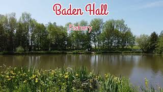 Baden Hall Fishery [upl. by Nairadas941]