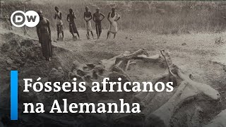 Expedição Tendaguru o que fósseis de dinossauros revelam sobre história colonial alemã [upl. by Theola]