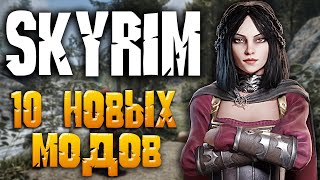 Skyrim ТОП 10 НОВЫХ МОДОВ [upl. by Neeron]