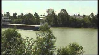 Biodiversidad en el estuario del Guadalquivir [upl. by Joellyn650]