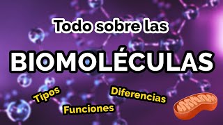 TODO sobre las BIOMOLÉCULAS 🧬📚 Tipos funciones ejemplos [upl. by Bone20]