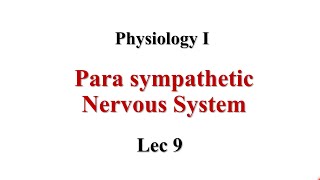 Para sympathetic Lec9 Physiology I [upl. by Yttisahc786]