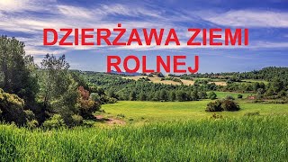 5 DZIERĹ»AWA ZIEMI ROLNEJ JAK WYGLÄ„DA CZY WARTO JÄ„ BRAÄ† PRZEPISY I WSKAZĂ“WKI PORADNIK [upl. by Safier]