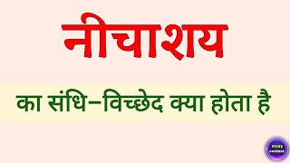 निचाशय का संधि विच्छेद । nichashay ka sandhi vichchhed । nichashay ka sandhi vichchhed kya hota hai [upl. by Aceber]