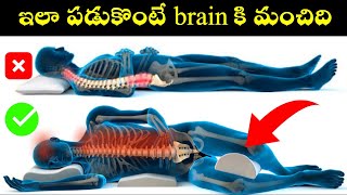 పడుకొనే సరైన విధానం Amazing Sleeping Postures for High Brain Power Reduced Stress amp Heart Pressure [upl. by Anih566]