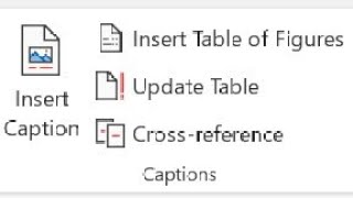 Caption option in Reference Tab  Complete Ms word series [upl. by Ylatfen]